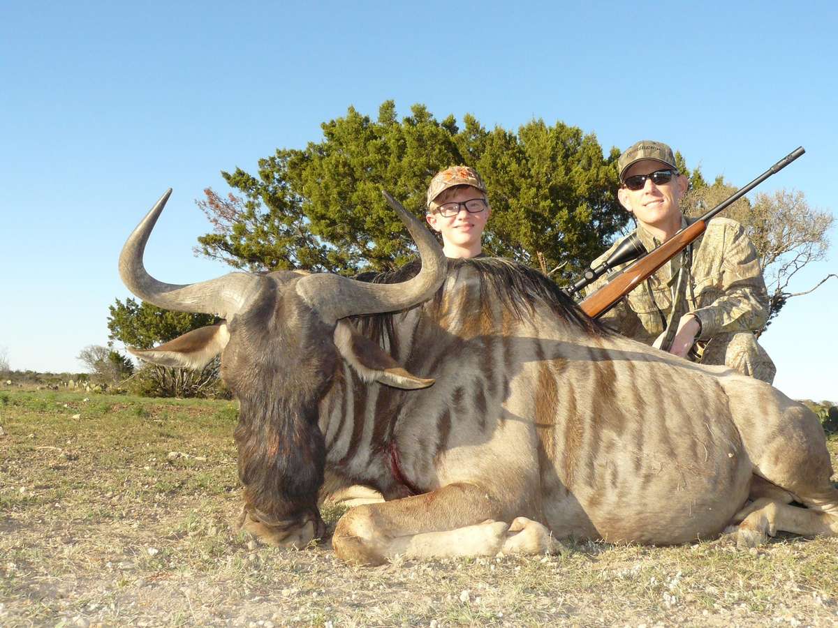 Wildebeest Wildebeest